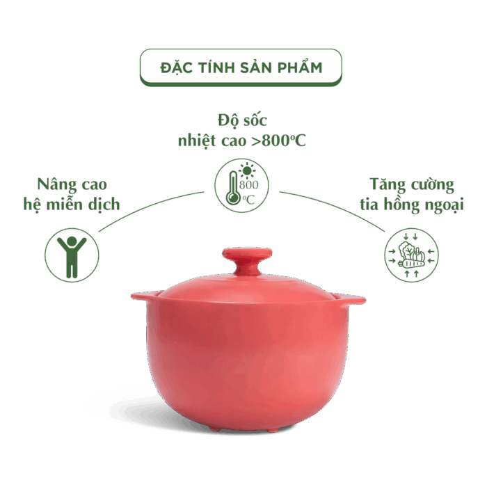  Nồi dưỡng sinh Vesta 3.0 L + nắp (CK) - Healthy Cook - Màu Đỏ 2 A001_660328507gomminhlong.com
