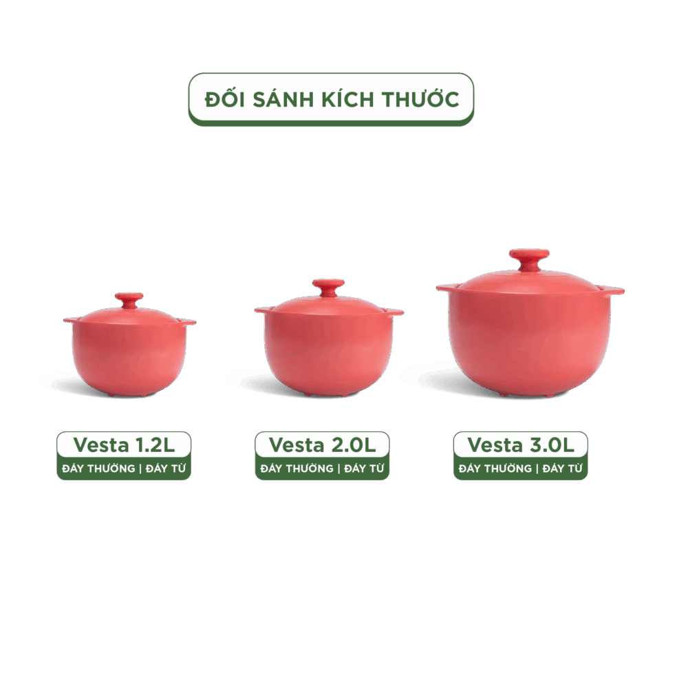 Nồi dưỡng sinh Vesta 3.0 L + nắp (CK) - Healthy Cook - Màu Đỏ 2 A001_660328507gomminhlong.com