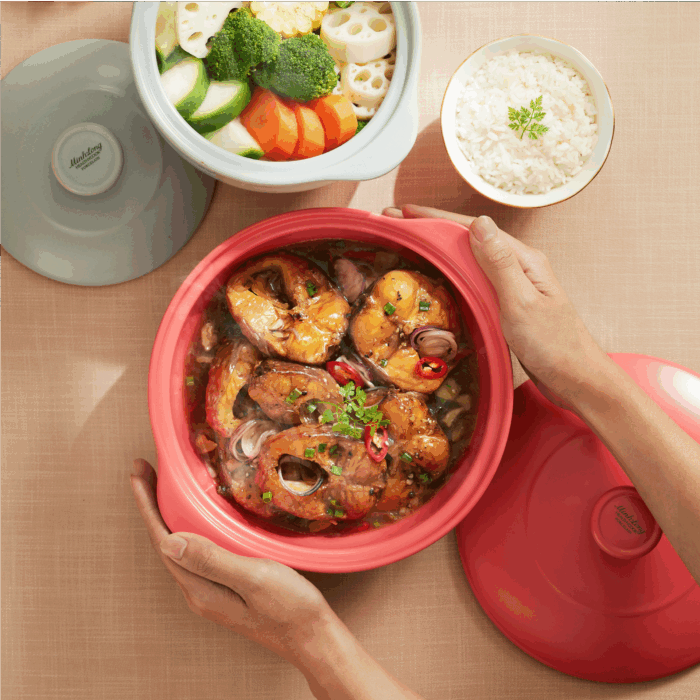 Nồi dưỡng sinh Vesta 3.0 L + nắp (CK) - Healthy Cook - Màu Đỏ 2 A001_660328507gomminhlong.com