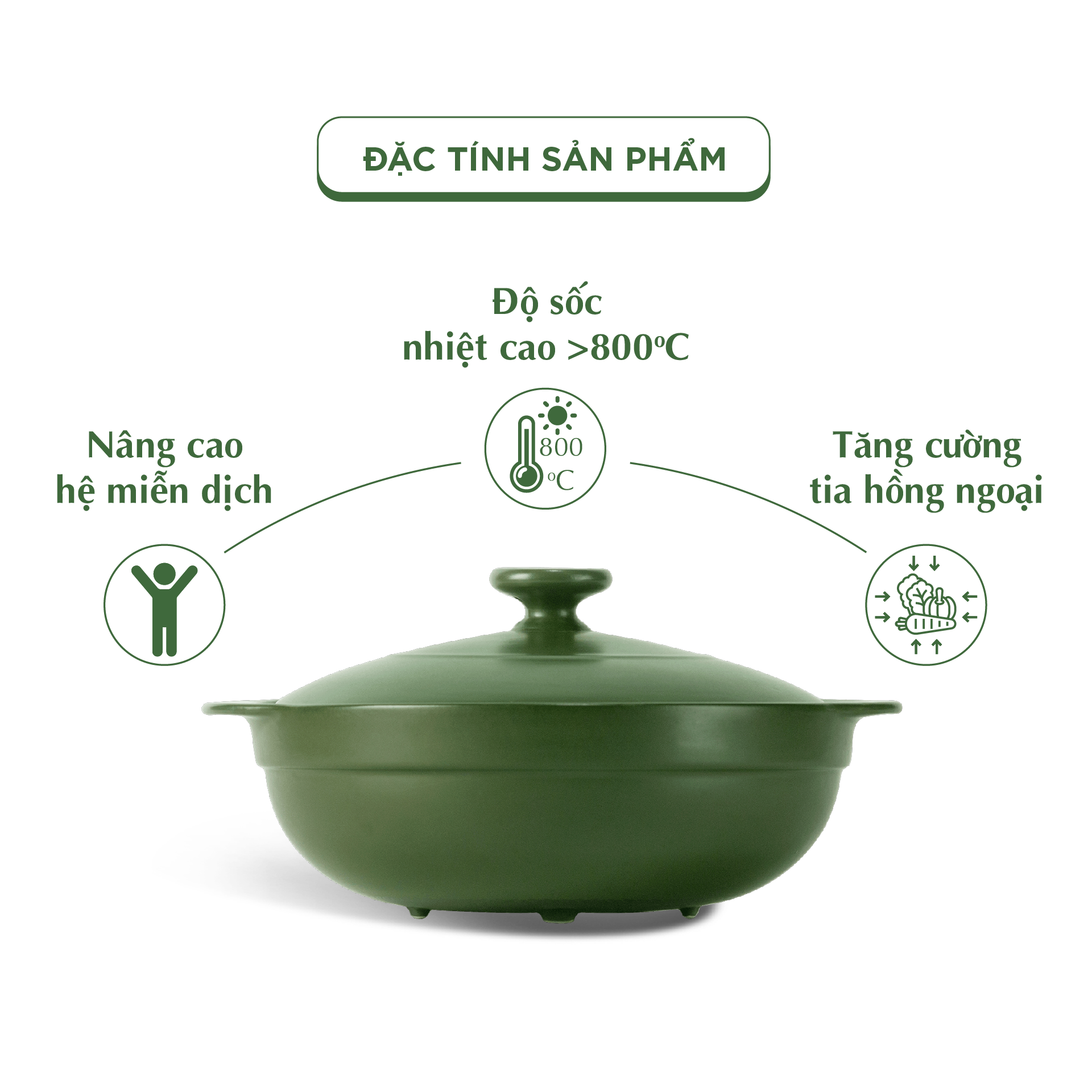 Nồi dưỡng sinh Luna (Nồi cạn) 2.0 L + nắp (CK) (bếp từ) - Xanh Rêu A001_212039464Tgomminhlong.com