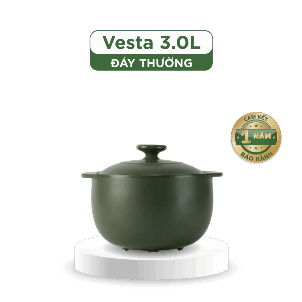 Nồi dưỡng sinh Vesta 3.0 L + nắp (CK) - Healthy Cook - Xanh Rêu A001_660328464gomminhlong.com
