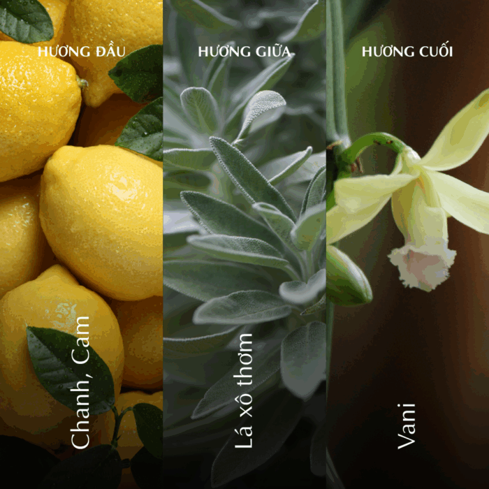  Nến thơm (K1) - Hương Hạ - Màu Xanh Dương A001_446824514Bgomminhlong.com