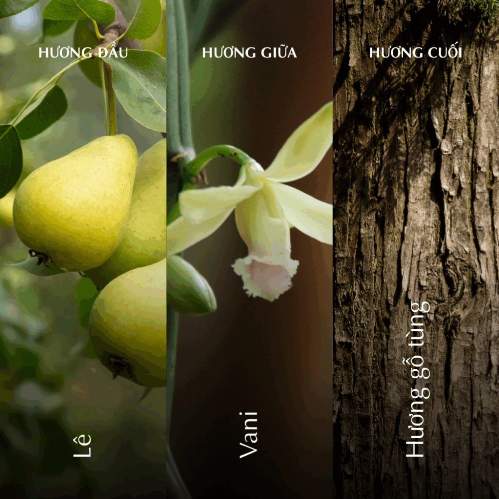 Nến thơm (K2) - Hương Đông - Trắng Bóng Mờ A001_446923544Bgomminhlong.com