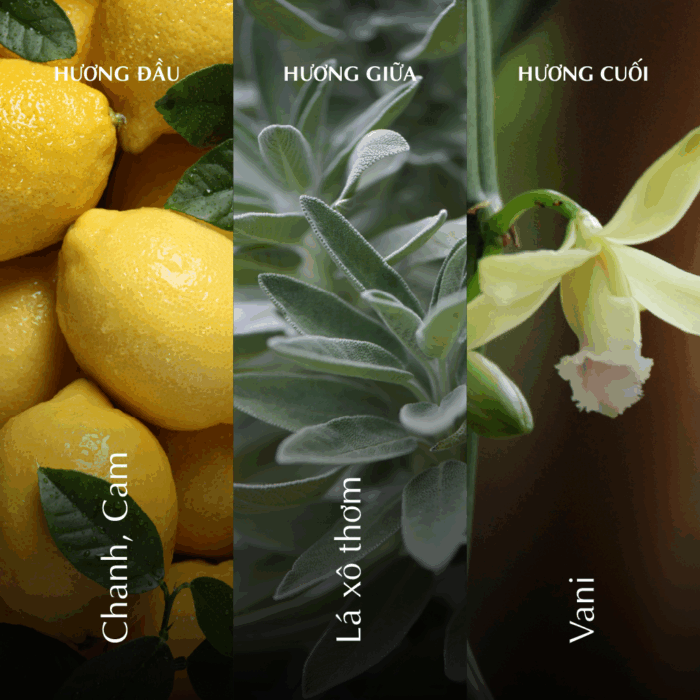  Nến thơm (K2) - Hương Hạ - Màu Xanh Dương A001_446923514Bgomminhlong.com