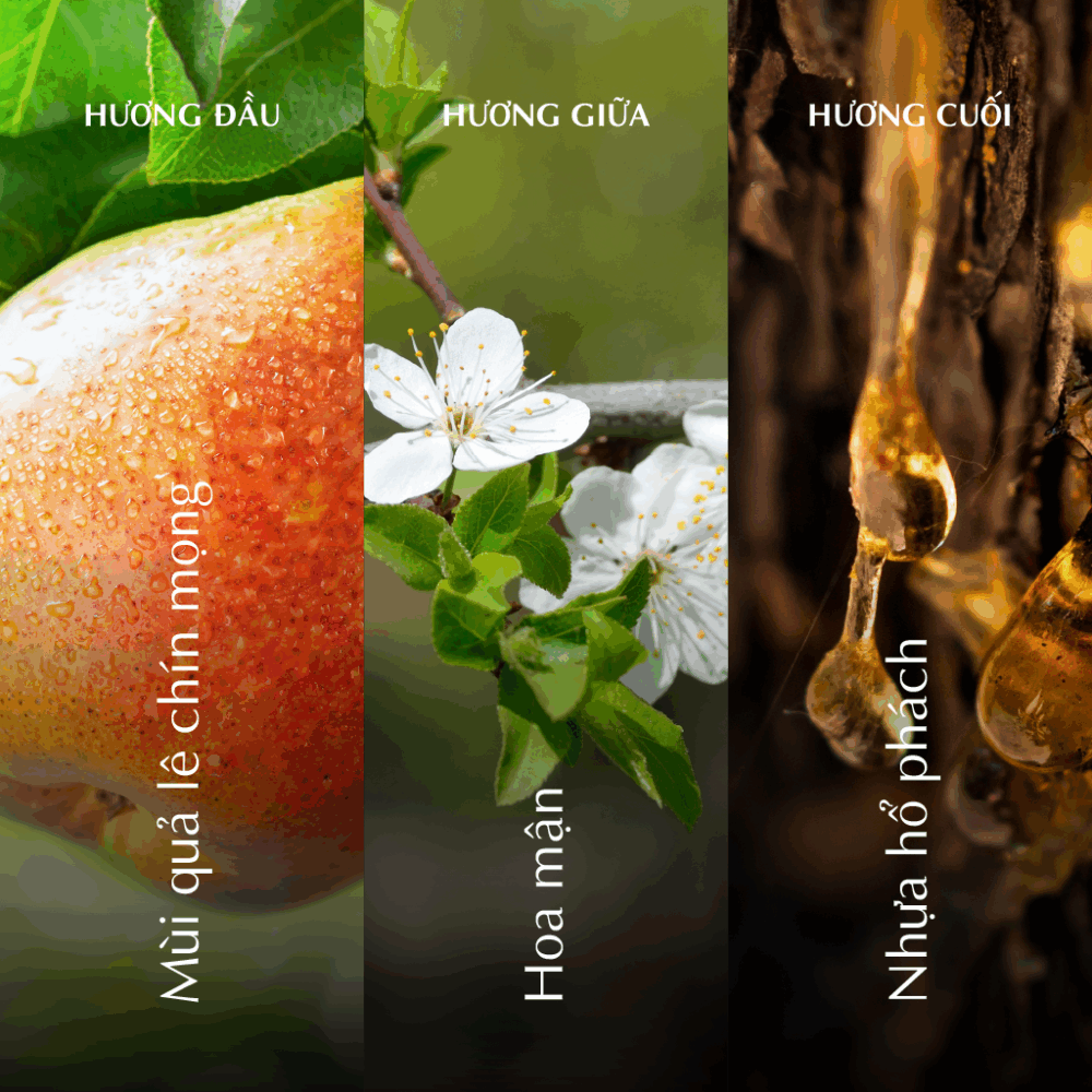 Nến thơm (K2) - Hương Thu - Màu Nâu A001_446923516Bgomminhlong.com