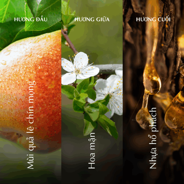  Nến thơm (K2) - Hương Thu - Màu Nâu A001_446923516Bgomminhlong.com
