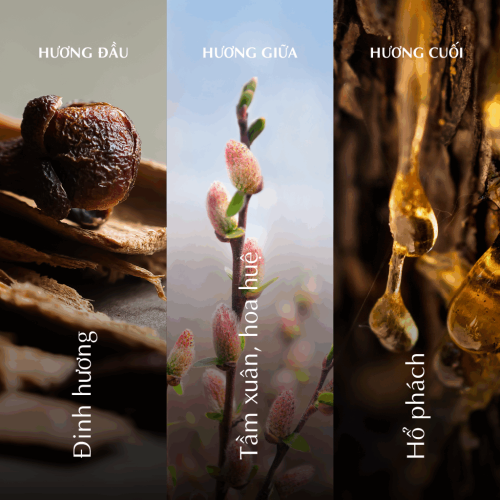 Nến thơm (K2) - Hương Xuân - Màu Hồng 2 A001_446923517Bgomminhlong.com